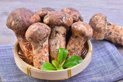 红色荣坊主题文化餐厅(泸定店)