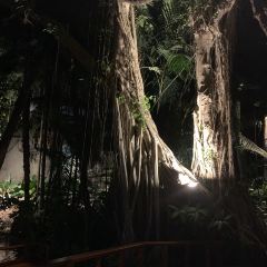 Khaomao - Khaofang Restaurant Maesot 여행 사진