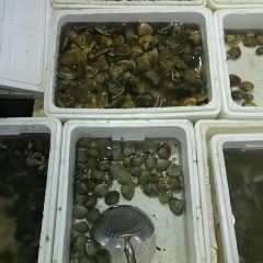 乐亭星轩程农家院 여행 사진