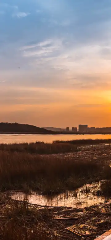 manju Properties in Zhoushan