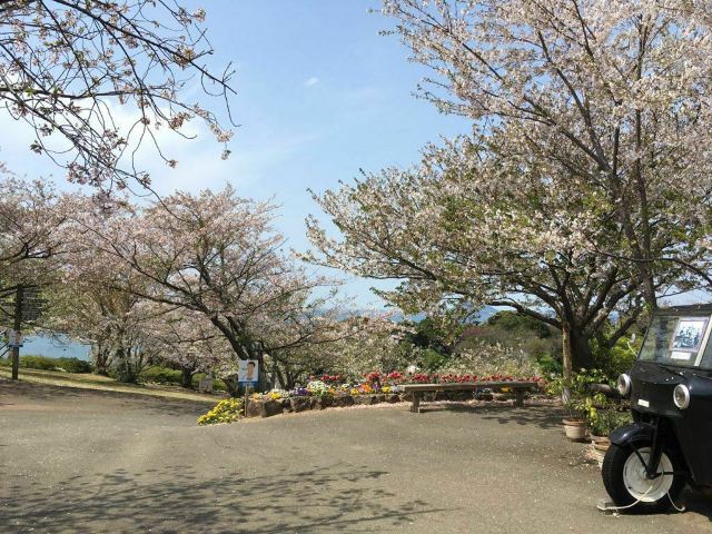のこのしまアイランドパーク