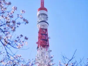 Shiba Park