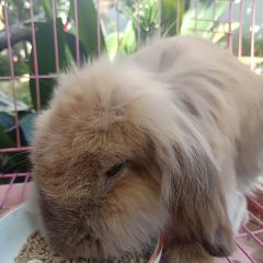 Yun Qin User Photo