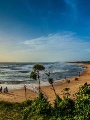 Candolim Beach