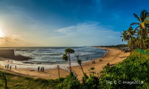 Candolim Beach