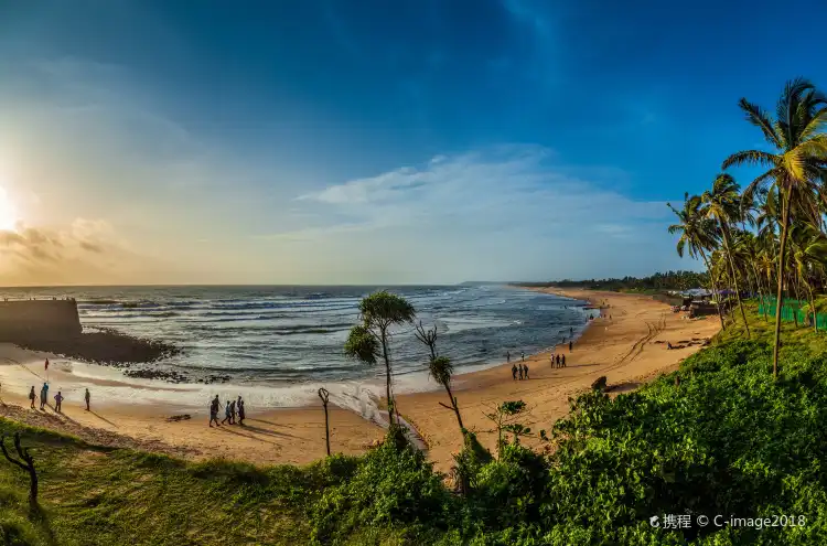 Hotels near Candolim Beach