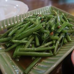 Green Bird User Photo