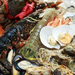 黄河口小海鲜(瑞辰店) User Photo