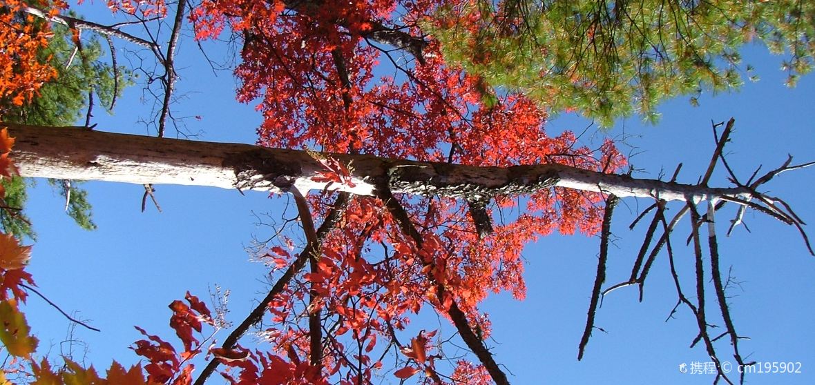 Things to Do in Roan Mountain in 2024 Top Attractions, Local Food