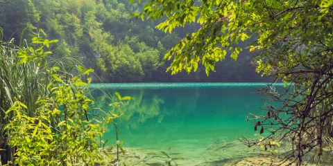 Bedekovčanska Jezera