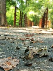 Hill Country Trailhead