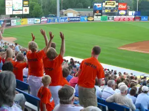 West Michigan Whitecaps Baseball