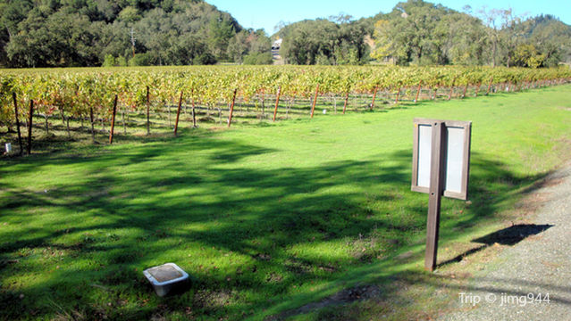 Frog's Leap Winery