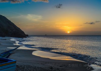 Margarita Island