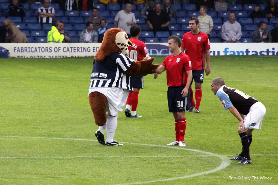 The Hawthorns