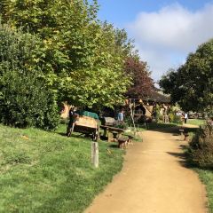 The Green Dragon Inn User Photo