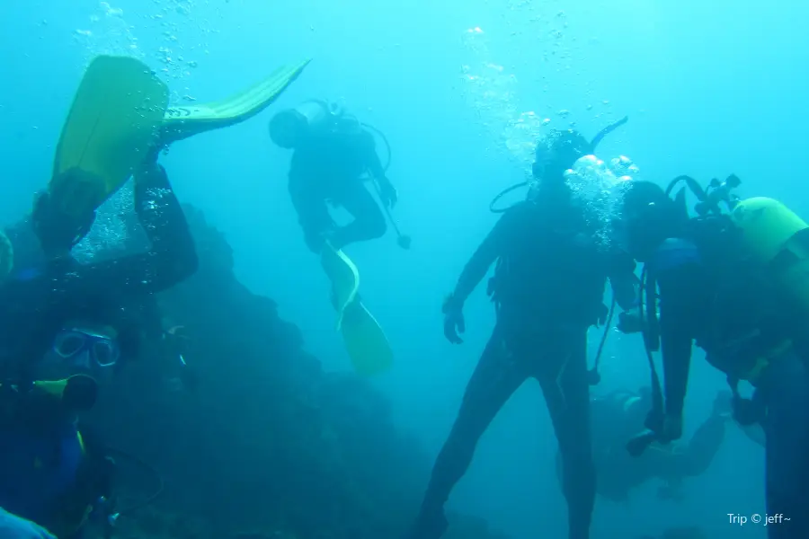 Down Under Dive Shop