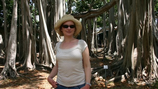 Joseph C. Carter Park