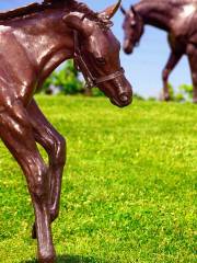 Kentucky Horse Park