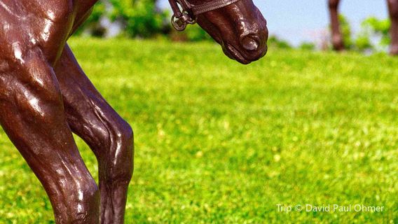 Kentucky Horse Park