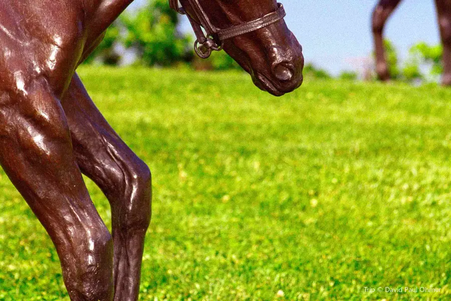 Kentucky Horse Park