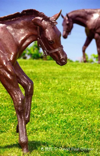 Kentucky Horse Park