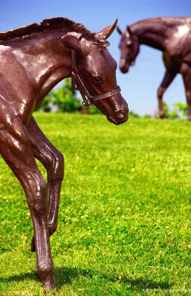 Hotels near Kentucky Horse Park