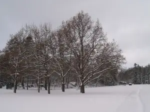 Kupittaa Park