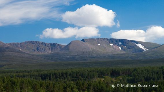 Loch Morlich