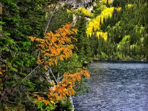 Bear Lake Trailhead