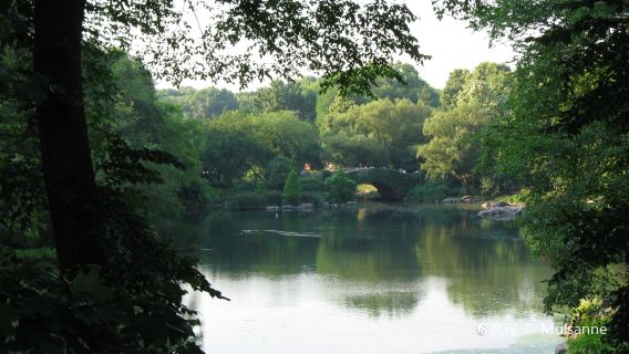 Landmark Park