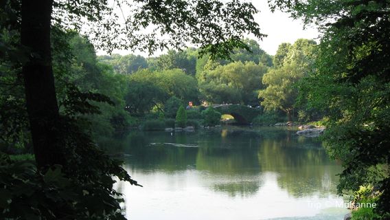 Landmark Park