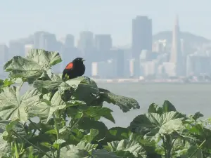 포겔 주립공원