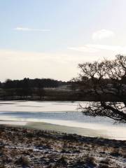 Tatton Park