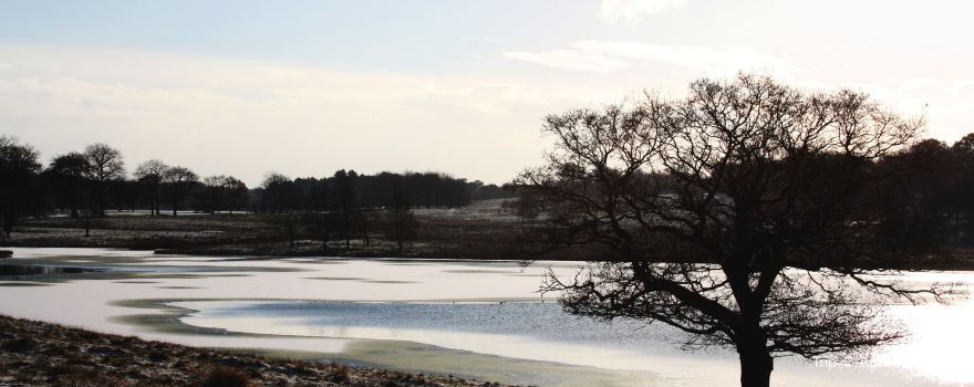 Tatton Park Country Park