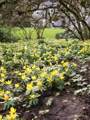 Elk Rock Garden