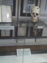 華倫解剖學博物館