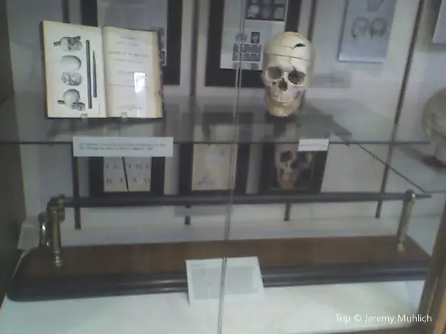 Warren Anatomical Museum