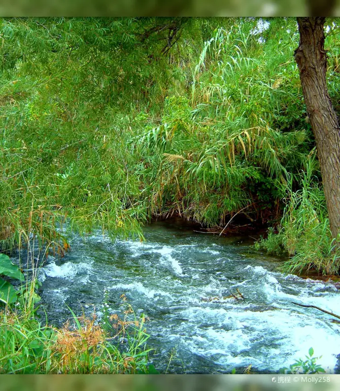 New Braunfels