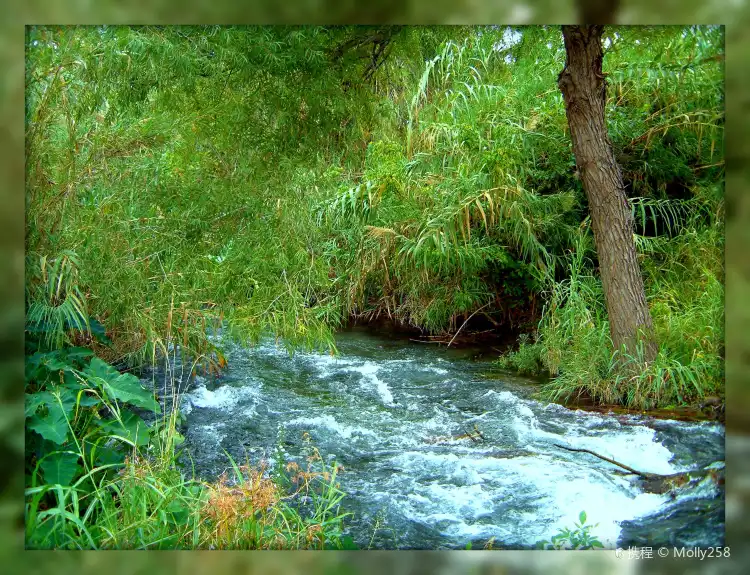 Các khách sạn gần Landa Park