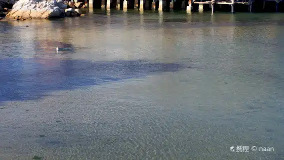 史丹佛大學+矽谷+漁人碼頭+九曲花街+金門大橋一日遊（包車）