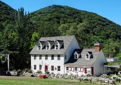 Willowbrook Apple Farm