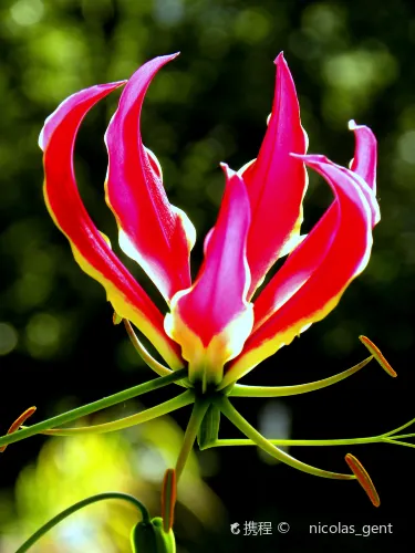 J.R. O'Neal Botanical Gardens