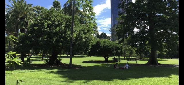 Brisbane Botanic Gardens Mt. Coot-tha