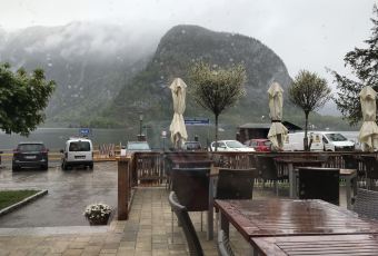 Restaurant im Seehotel Gruner Baum user photo