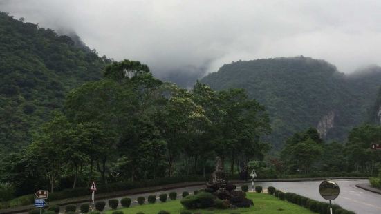 這個火車還是需要一點運氣的，因為經常這個火車會遊客很多，座不