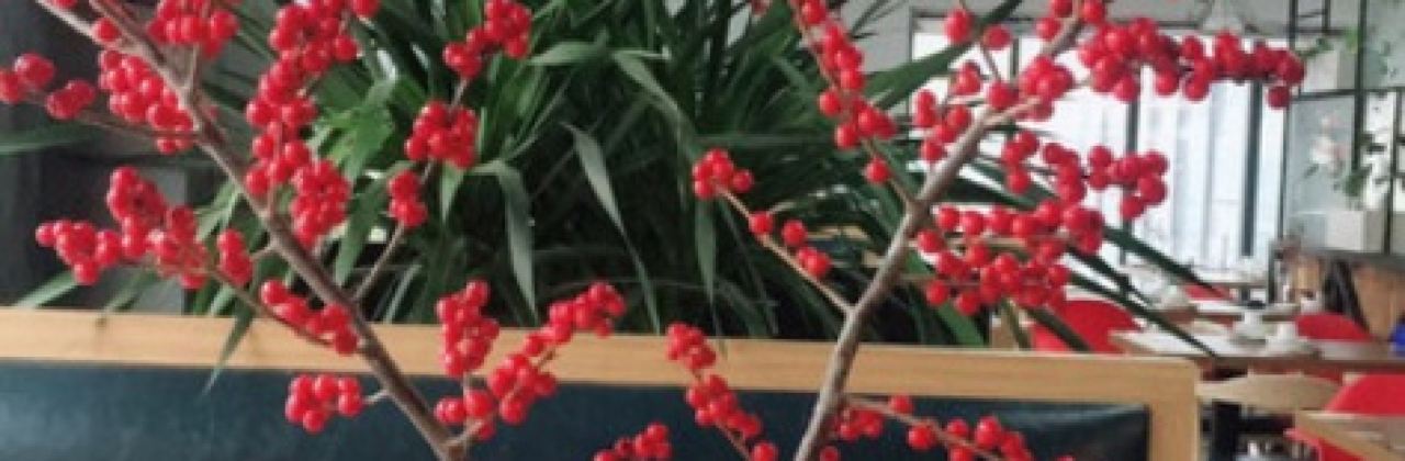 韓魚客特色烤魚(龍湖中心店)