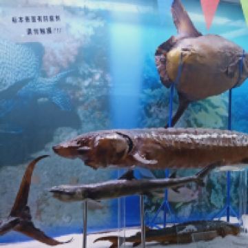 評論圖片 3