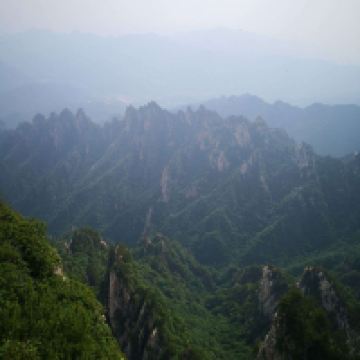 評論圖片 4
