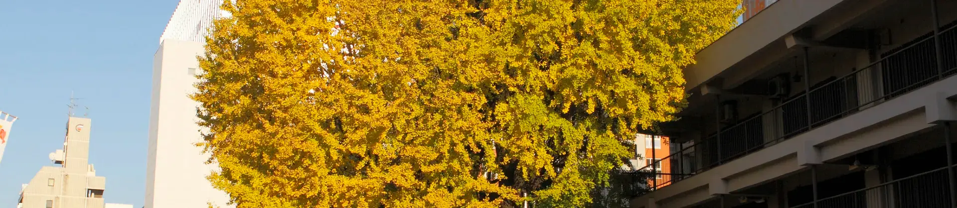 Attrazioni per la visione autunnale